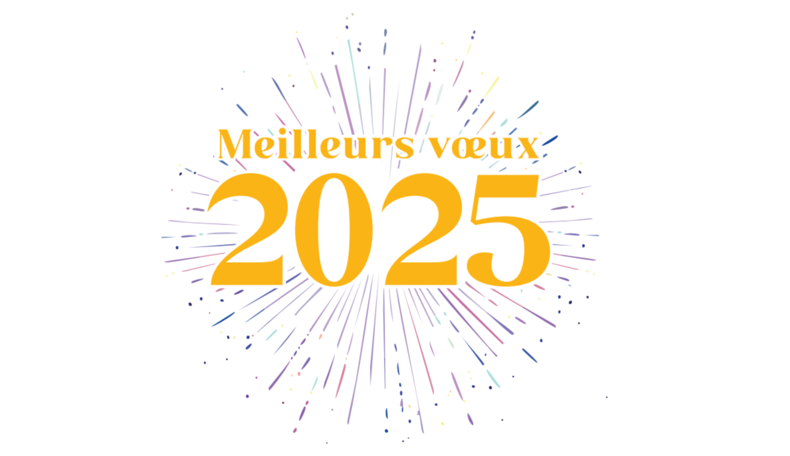 Meilleurs Vœux 2025 IMT Nord Europe