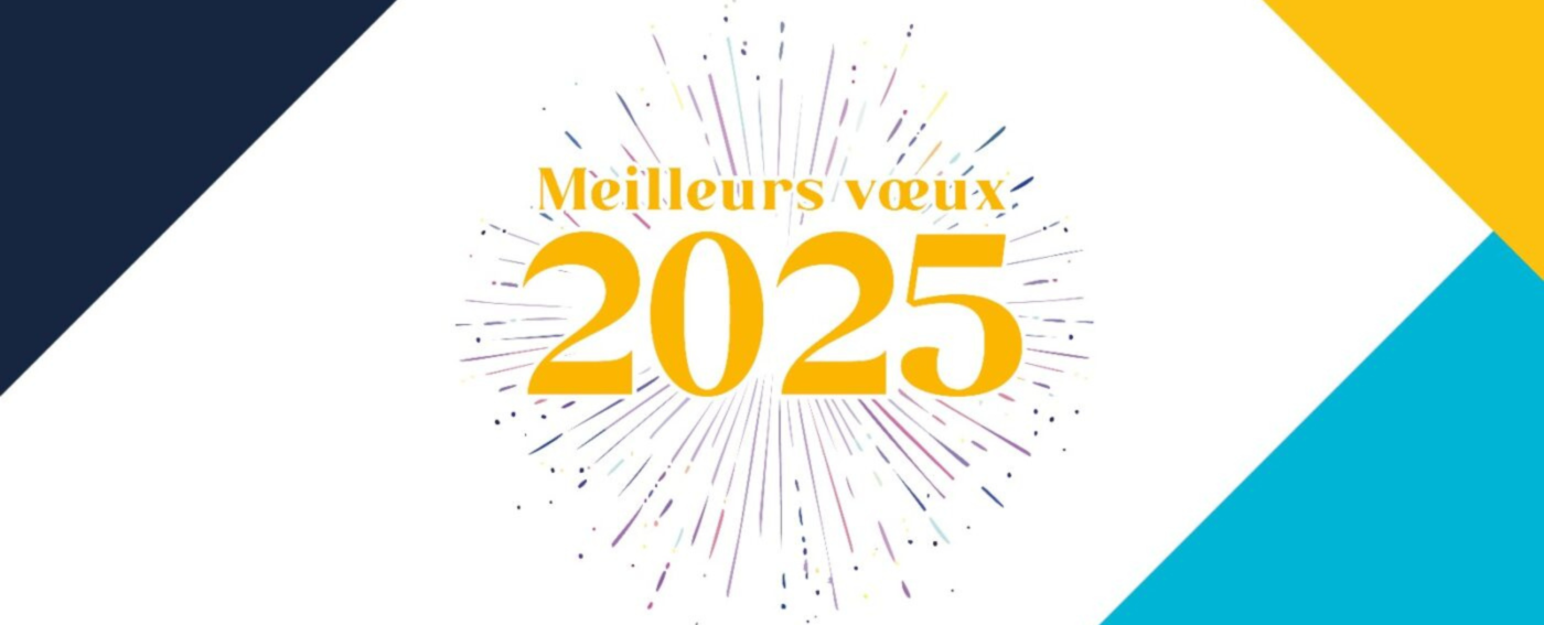 Meilleurs Voeux 2025